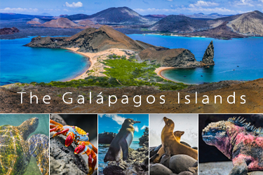 The Amazing Galapagos Islands